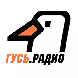 Радио Гусь